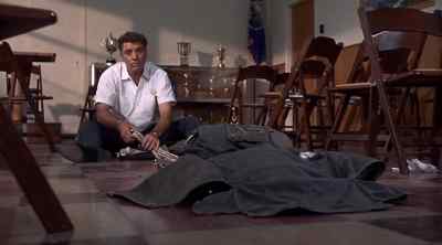 Why did you do this? - The Gypsy Moths