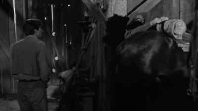 Why did Jacob leave Red Bluff? - The Lonely Man