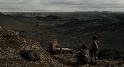 Why did they kill it? - Noah