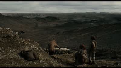 Why did they kill it? - Noah