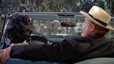 Why did you and Brick suddenly decide to drive up from New Orleans - Cat on a Hot Tin Roof
