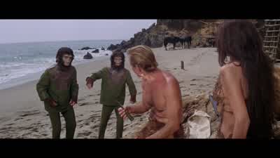 Why did you do that? - Planet of the Apes