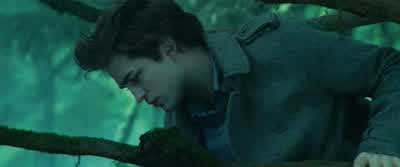 Why did you hate me so much when we met? - Twilight