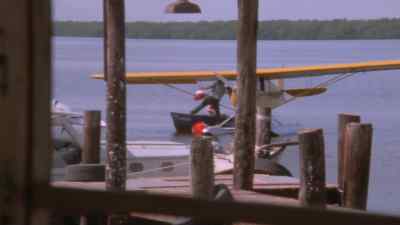 Why didn't anybody ever tell me? - Night Moves