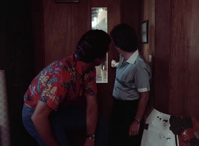 - Why didn't you use your pick?
- T.C. pick-proofed it. - Magnum, P.I.