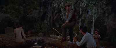 Why didn't you
kill the girl, too? - The Last Hunt