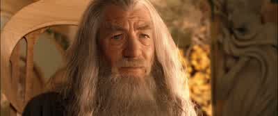 - Why didn't you meet us? - The Lord of the Rings: The Fellowship of the Ring