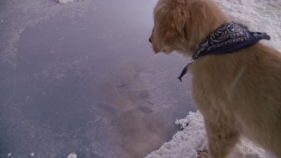 Why do they call you mudbud - Snow Buddies