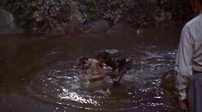 Why do you continue to do
such stupid things? - Tarzan and the Lost Safari