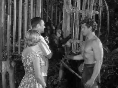 Why do you have animals? - Tarzan's Hidden Jungle