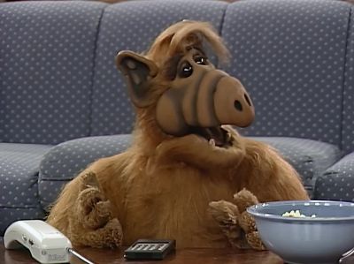 Why do we have to wear meat in this ritual anyway - ALF