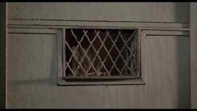 Why do I do these things? - Caged Heat