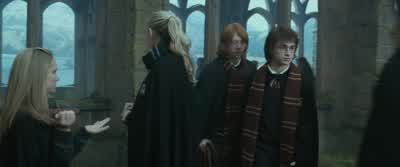 Why do they have to travel in packs? - Harry Potter and the Goblet of Fire