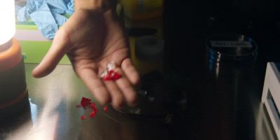 WHY DO YOU NEED MY BLOOD? - Kung Fu