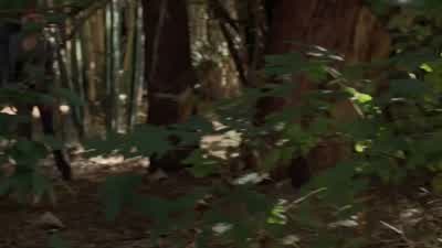 Why do you think he's here? - The Mentalist