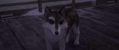 Why does
it smell like wet... Oh. - White Fang