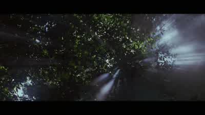Why does nature vie with itself? - The Thin Red Line