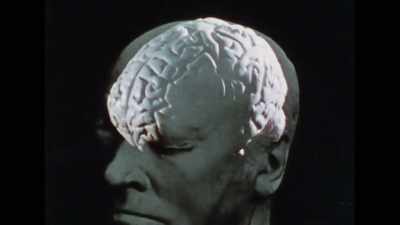 Why does the brain have
two centers of consciousness, - The Divided Brain