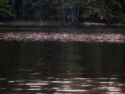 Why don't you come find me
when you've done your swim - In a Violent Nature
