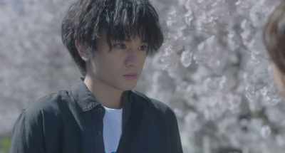 Why don't you fight for it - Love Like the Falling Petals