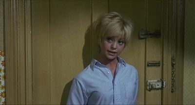 Why don't you have dinner with me tonight - Cactus Flower