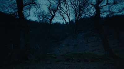 Why don't you help me? - The Other Lamb