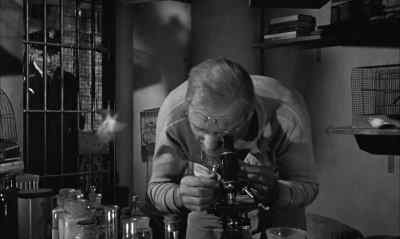 Why don't you look at somethin',
see if it works? - Birdman of Alcatraz