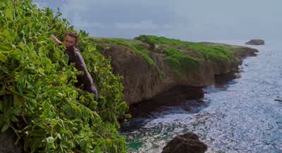Why don't you press your feet up against the rockand like shoot yourself offWhat like a frog I don't know PeterJust get off the fucking rock - Forgetting Sarah Marshall