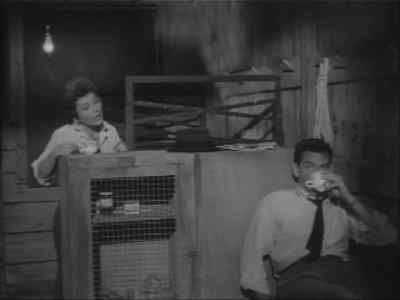 Why don't you take your drink - The 27th Day