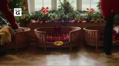 Why don't you take it easy,
go walk around the party, - A Royal Corgi Christmas