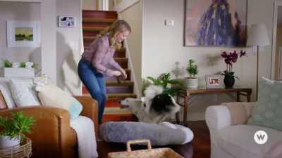 Why don't you try out
your nice, comfy bed? - Romance to the Rescue
