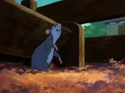 Why don't you try
over by the fence? - Charlotte's Web