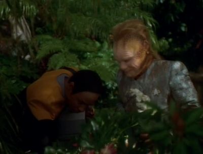 Why don't why don't we sing a song while we toil hmm - Star Trek: Voyager