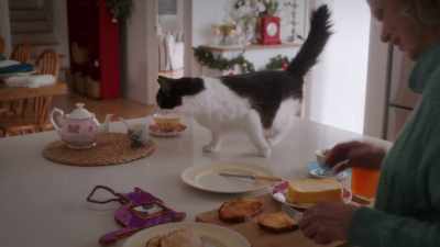 Why is George walking across - The Dog Days of Christmas