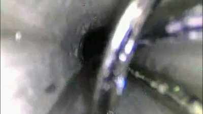 why-has-such-an-image-never-been-captured-before - Strange Evidence