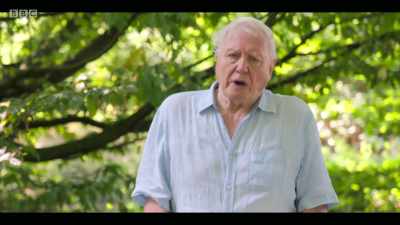 Why haven't we acted sooner
to address these issues - Extinction: The Facts