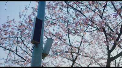 ♪ Why is it so hard to start the day ♪ - Tune in for Love