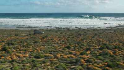 Why is it illegal to dig up
beaches in Australia - Edge of the Earth
