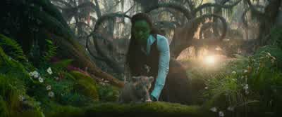 I didn't mean to scare you. - Wicked