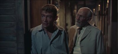 Why must you go against the majority - Lord Jim