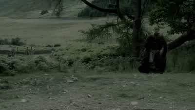 Why must I follow you up the fields? - Vikings