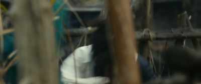 Why protect the guy
you want revenge on? - Blade of the Immortal