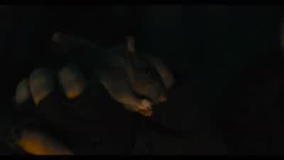 Why rats, Papa? - The Suicide Squad
