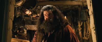 Why spiders? - Harry Potter and the Chamber of Secrets