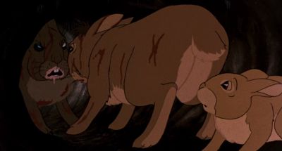 Why throw your life away - Watership Down