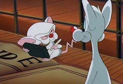 WHY WHAT ARE WE GOING TO DO TOMORROW NIGHT - Pinky and the Brain