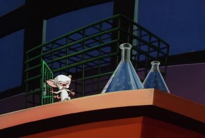 WHY WHAT WE GOING TO DO TOMORROW NIGHT BRAIN - Pinky and the Brain
