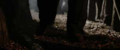Why, why are you doing this? - Winnie the Pooh: Blood and Honey