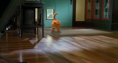 Why Why has this happened I was the one - Garfield