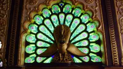 Why would you put up
with so much abuse? - Krishnas: Gurus. Karma. Murder.